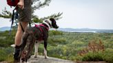 11 easy Maine hikes that are perfect for spring