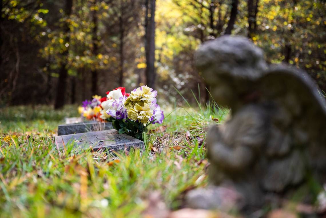 Can I bury my pet in the back yard? Here’s what Georgia law says about home funerals