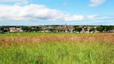 Long grass in Wick is part of Highland Council biodiversity programme