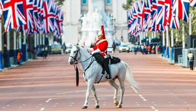 Conexión inmediata: reacción viral de caballo de la guardia real británica con una mujer