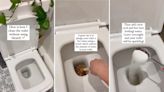 Instagrammer reveals incredibly easy trick for cleaning your bathroom without toxic chemicals: ‘Leave overnight and your toilet is sparkling!’