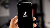 The Canadian Intelligence Service Claims That TikTok Is a Strategy by China to Dominate Data