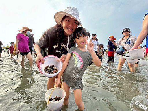 2024臺南七股海鮮節7月初開跑 最熱門的挖文蛤體驗首採收費