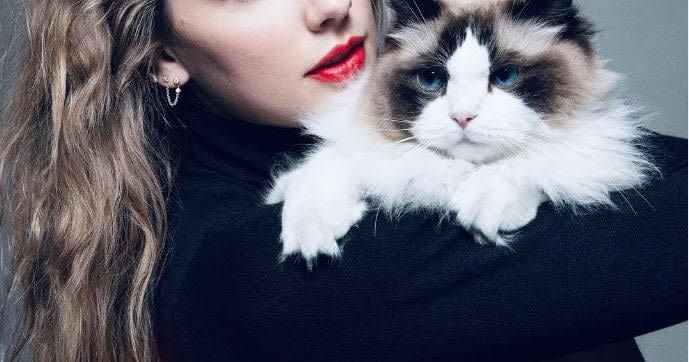 Meet Benjamin Button, Taylor Swift’s cat and star of her Harris endorsement