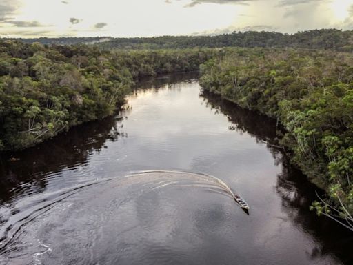 Amazon tribes win lawsuit over carbon credits in Colombia