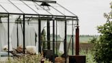 This tiny glass home in Holland is part of a trend for using greenhouses for more than growing