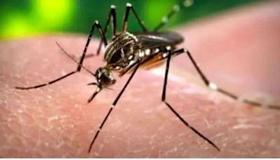 Another pregnant woman detected with Zika, 6th case in Pune