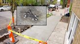 Chicago rat hole in Roscoe Village removed by city