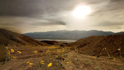 Death Valley tourist spends night alone on ridge after wandering from group, rangers say