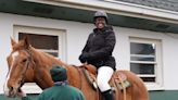 Horse trail rides return to Lord Stirling Park in Basking Ridge