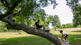 Access to parks in San Antonio getting better, new report says