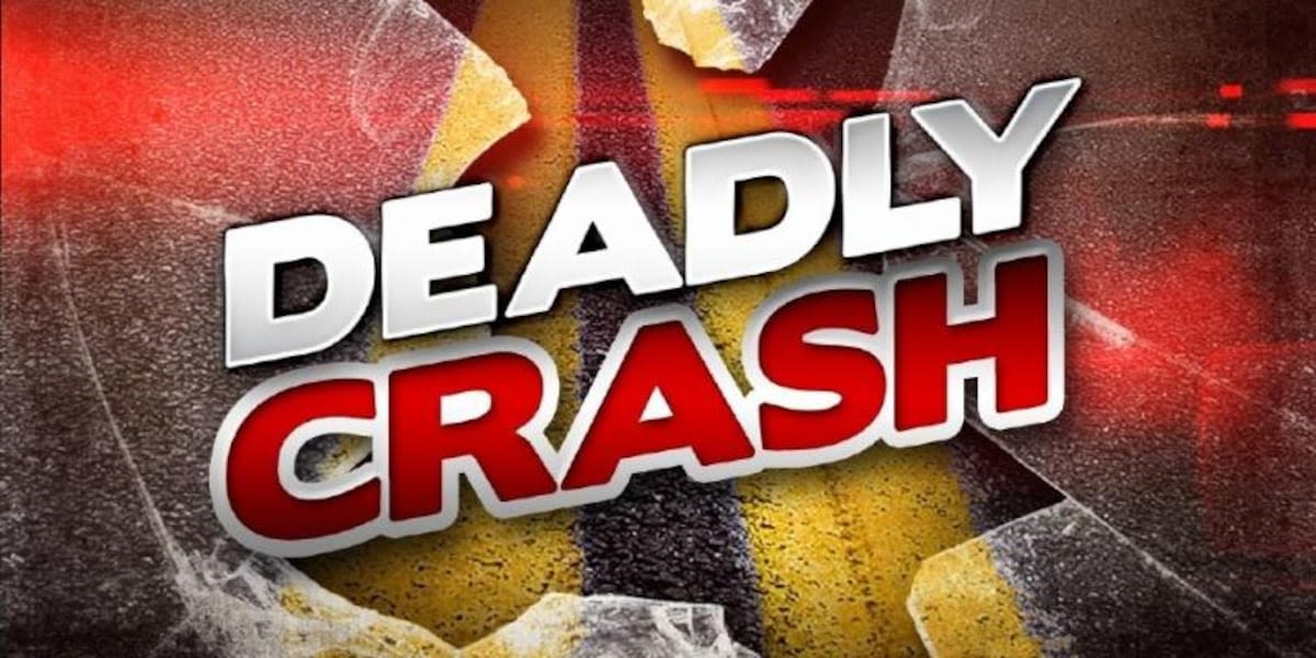 21-year-old Florence man killed in Dillon County crash