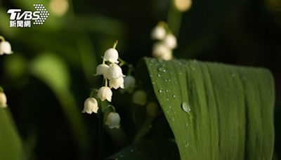 白露今報到！3生肖恐陷低潮衰到爆 快穿「專屬衣色」拚改運