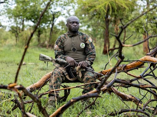 Chad rangers battle to protect park from poachers, local farmers