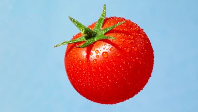 Tomatoes have “anticancer” properties, thanks to one important nutrient