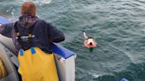 出海卻遇風浪翻覆！英國划艇運動員受困浮標12天 靠海藻螃蟹苦撐幸運獲救