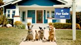 Zillow Takes Inspiration From 'Bluey' In Adorable New Commercial