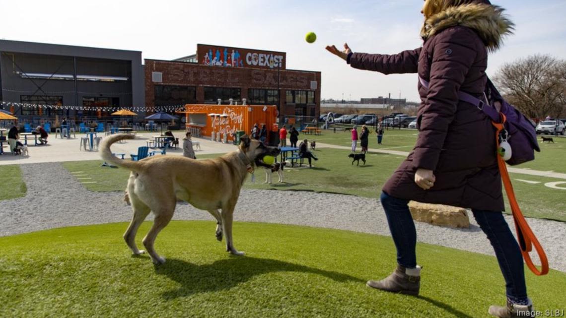 St. Louis developer Green Street seeks to evict dog bar