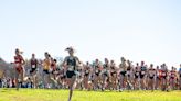 State Federation cross-country: Furman boys winner, Green 3rd, Mayclim 5th, Wasserman 6th