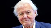 BBC Denies Pulling David Attenborough Nature Doc To Avoid Angering Right-Wingers