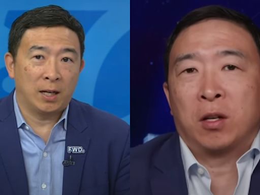 Andrew Yang says Dems should replace Biden as presidential nominee