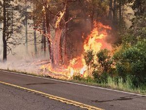 Several wildfires force road closures across Washington