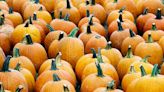 Pumpkin patches, more fall fun to check out in the Kansas City area