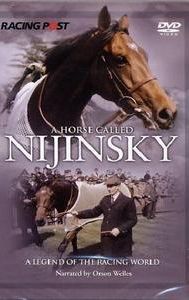A Horse Called Nijinsky