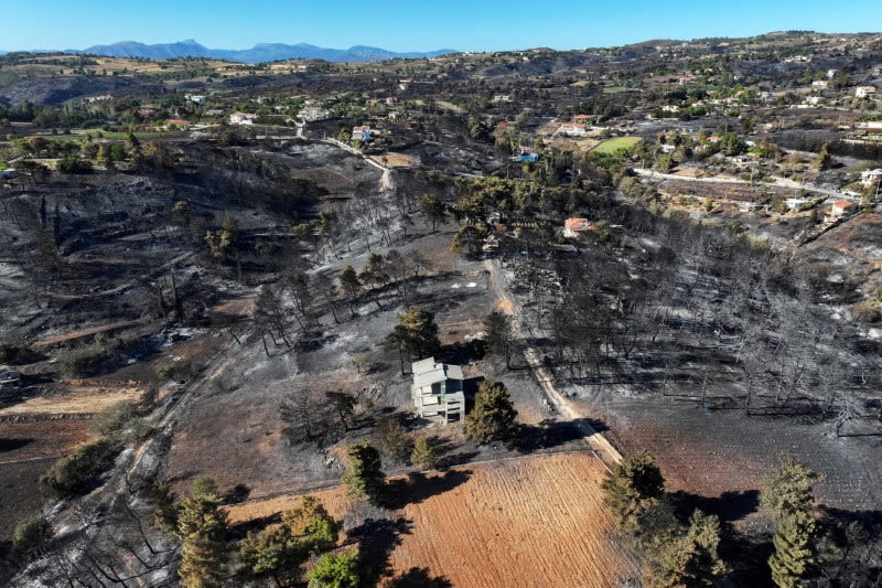 Greece tackles last of wildfire near Athens, assesses damage