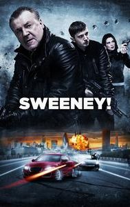 The Sweeney (2012 film)