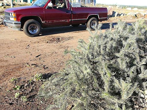 One additional free green waste disposal day slated for June 17