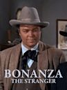 Bonanza: The Avenger