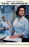 The Nurses (TV series)