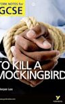 "To Kill A Mockingbird" A4 Gcse (York Notes)