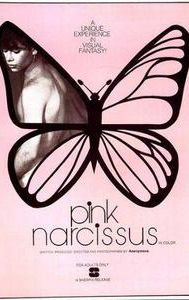 Pink Narcissus