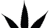 Hickenlooper and Bennet want to change marijuana laws