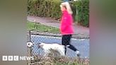 Brantham dog walker dies four days after attack