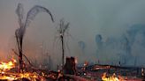 Low firefighting pay blamed for 2024 fires in Brazilian Amazon - BusinessWorld Online