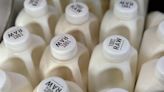 New experiments confirm milk from H5N1-infected cows can make other animals sick — and raise questions about flash pasteurization | CNN