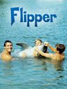 Flipper le dauphin