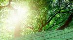 How Green Buildings And Sustainable Business Practices Raise The Quality of Life For All