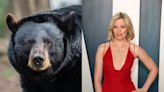 “Cocaine Bear”, la última película de Ray Liotta sobre el oso que consumió varios kilos de cocaína