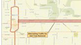 Tree removal on East State Street in Mason City beginning Monday