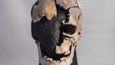 El "hombre de Vittrup" murió violentamente en un pantano hace 5.200 años. Ahora, los investigadores conocen su historia