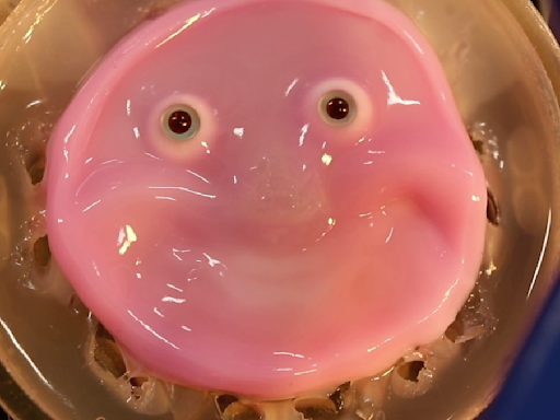 This smiling robot has a face covered in ‘living’ skin