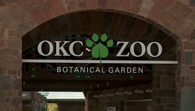 What’s going on at the OKC Zoo in June, July