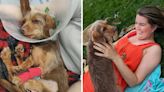 Dog eats rat poison twice leaving owner hit with eye watering vet bill