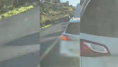 Motorista tenta fugir pela contramão e morre ao atingir viatura da PRF | TNOnline