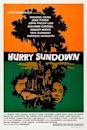 Hurry Sundown (film)