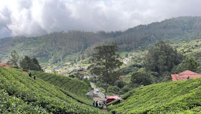 Pictures from our off-season trip to Ooty in a Maruti Brezza diesel | Team-BHP